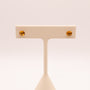14KWG Citrine Martini Set Studs