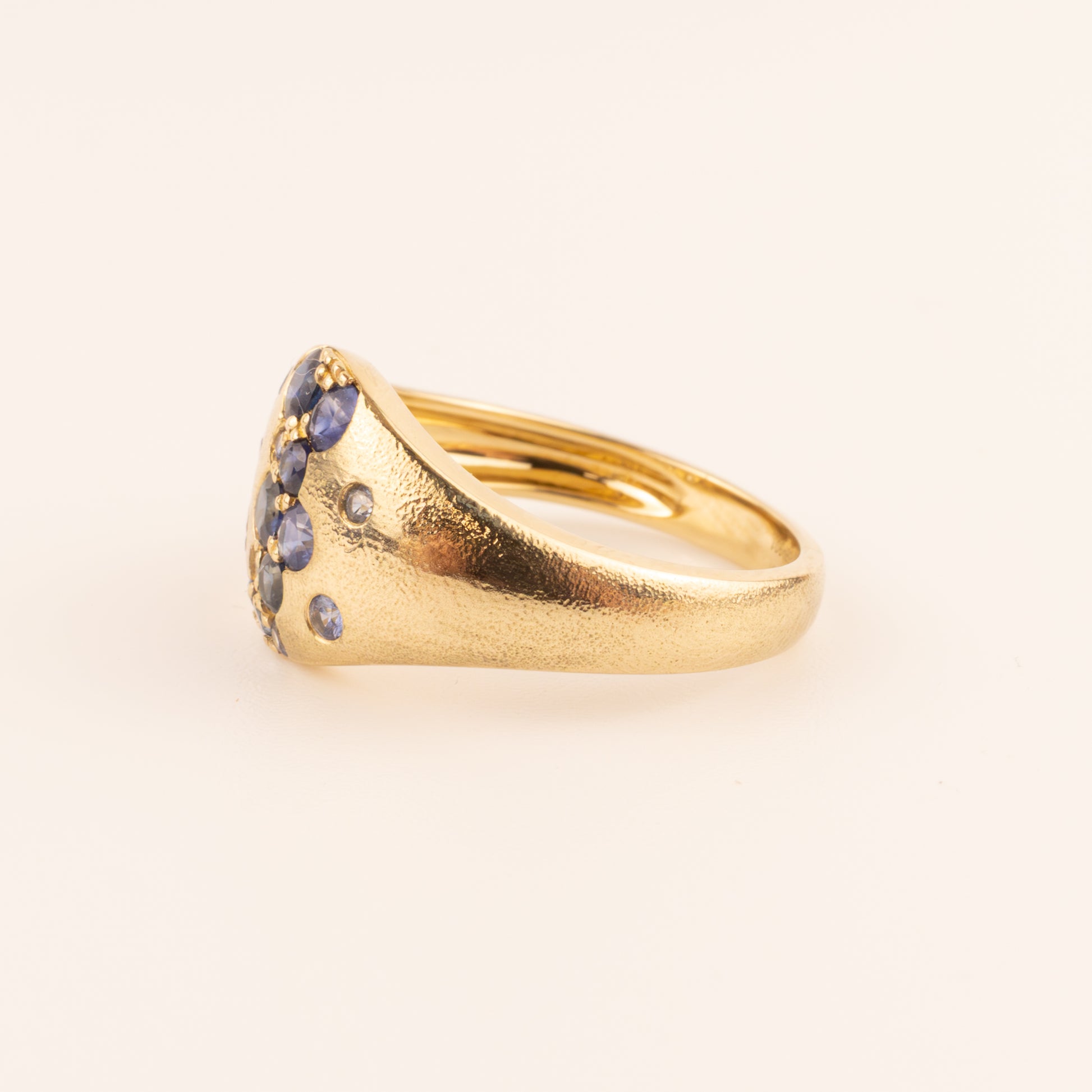 14KYG Blue Sapphire Flush & Prong Set Scattered Wide Ring