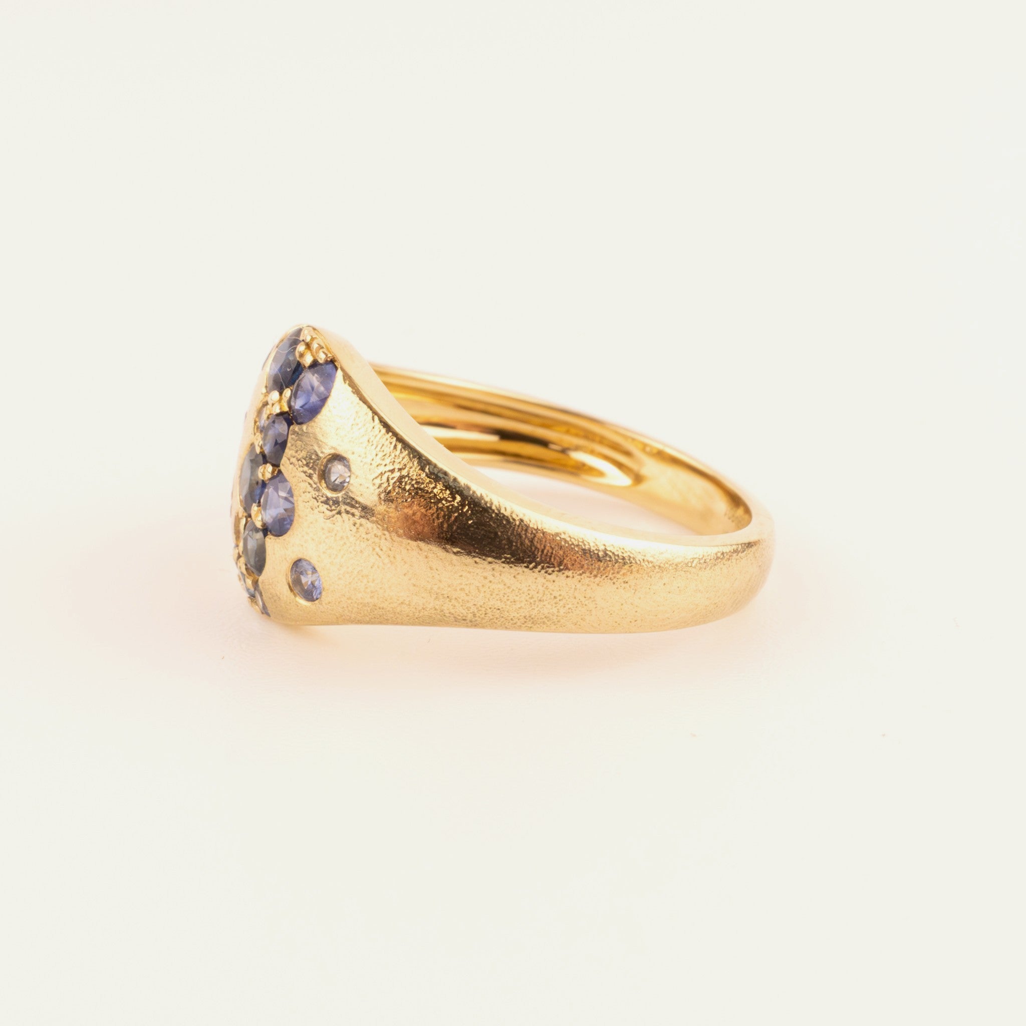 14KYG Blue Sapphire Flush & Prong Set Scattered Wide Ring