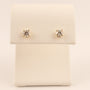 14KWG Lab Grown Diamond 0.50cttw Basket Stud Earrings